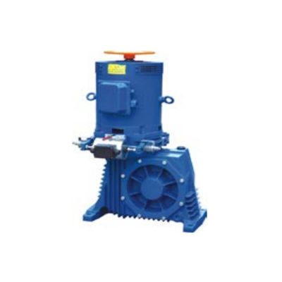 AC220V ব্রেক এস্কেলেটার ড্রাইভ ই-ড্রাইভ ইমপুটম এবং গ্লাইডস্ট্রিম ড্রাইভ