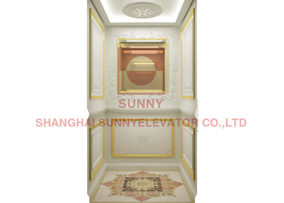 বাড়ির জন্য 400 কেজি লোড VVVF ইনভার্টার ম্যানুয়াল ডোর আবাসিক হোম লিফট